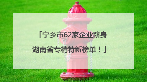 宁乡市62家企业跻身湖南省专精特新榜单！