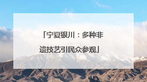 宁夏银川：多种非遗技艺引民众参观