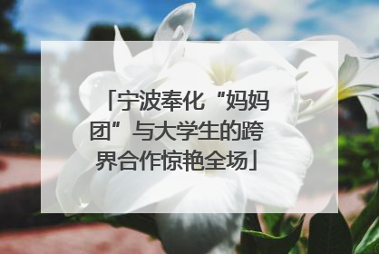 宁波奉化“妈妈团”与大学生的跨界合作惊艳全场