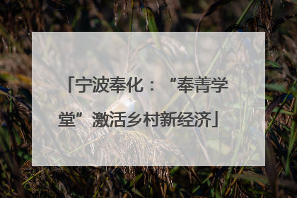 宁波奉化：“奉菁学堂”激活乡村新经济