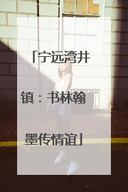 宁远湾井镇：书林翰墨传情谊