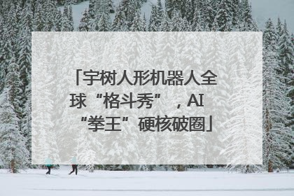 宇树人形机器人全球“格斗秀”，AI“拳王”硬核破圈