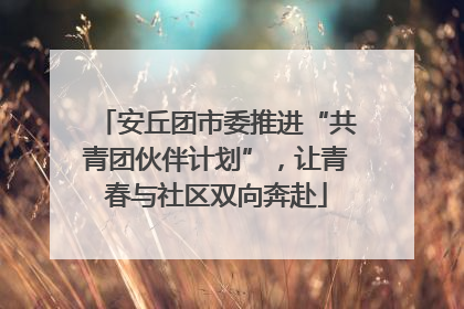 安丘团市委推进“共青团伙伴计划”，让青春与社区双向奔赴