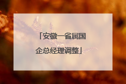 安徽一省属国企总经理调整