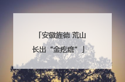 安徽旌德 荒山长出“金疙瘩”