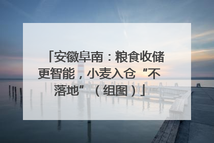 安徽阜南：粮食收储更智能，小麦入仓“不落地”（组图）