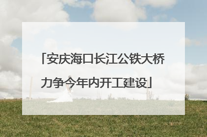 安庆海口长江公铁大桥力争今年内开工建设