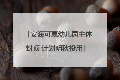 安海可慕幼儿园主体封顶 计划明秋投用