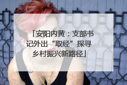 安阳内黄：支部书记外出“取经”探寻乡村振兴新路径