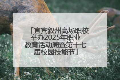宜宾叙州高场职校举办2025年职业教育活动周暨第十七届校园技能节