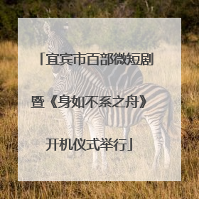 宜宾市百部微短剧暨《身如不系之舟》开机仪式举行