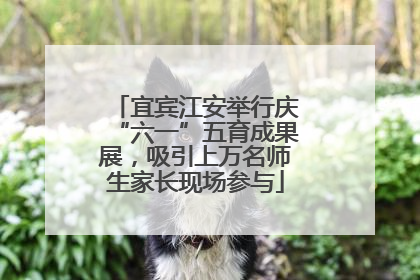 宜宾江安举行庆“六一”五育成果展，吸引上万名师生家长现场参与