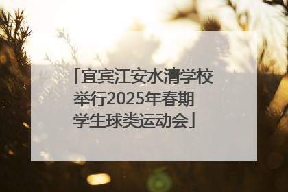 宜宾江安水清学校举行2025年春期学生球类运动会