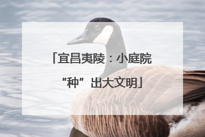 宜昌夷陵：小庭院“种”出大文明