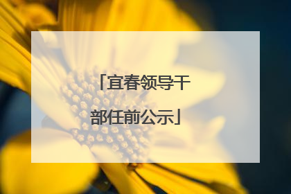 宜春领导干部任前公示