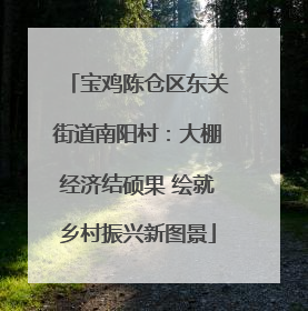 宝鸡陈仓区东关街道南阳村：大棚经济结硕果 绘就乡村振兴新图景