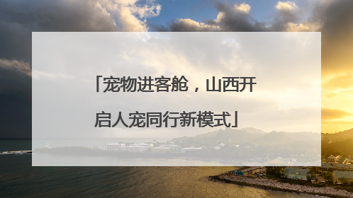 宠物进客舱，山西开启人宠同行新模式
