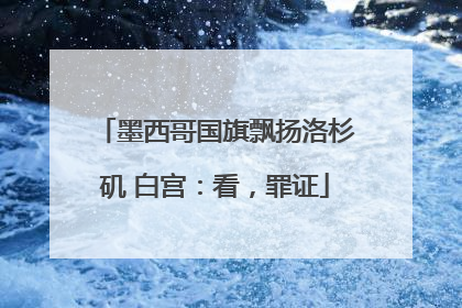 墨西哥国旗飘扬洛杉矶 白宫：看，罪证