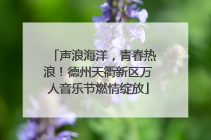 声浪海洋，青春热浪！德州天衢新区万人音乐节燃情绽放