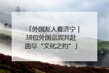 外国友人看济宁｜38位外国嘉宾共赴曲阜“文化之约”