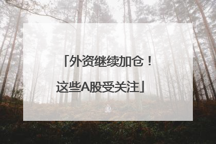 外资继续加仓！这些A股受关注
