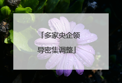多家央企领导密集调整