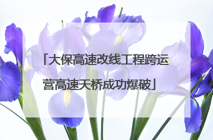 大保高速改线工程跨运营高速天桥成功爆破