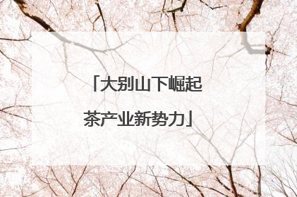 大别山下崛起茶产业新势力