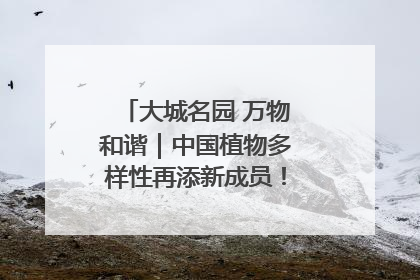 大城名园 万物和谐｜中国植物多样性再添新成员！它只在西藏墨脱