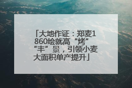 大地作证：郑麦1860绘就高“烤”“丰”景，引领小麦大面积单产提升