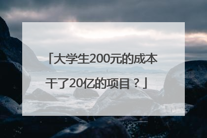 大学生200元的成本干了20亿的项目？