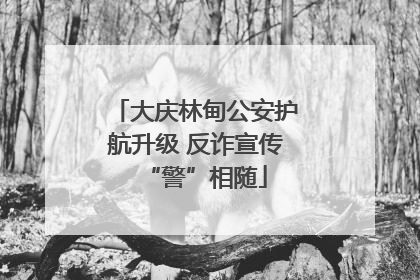 大庆林甸公安护航升级 反诈宣传“警”相随