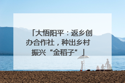 大悟阳平：返乡创办合作社，种出乡村振兴“金稻子”