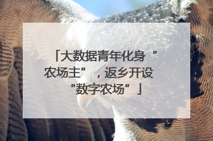大数据青年化身“农场主”，返乡开设“数字农场”