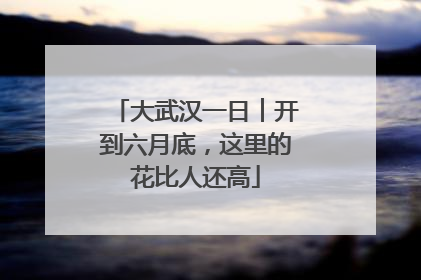 大武汉一日︱开到六月底，这里的花比人还高
