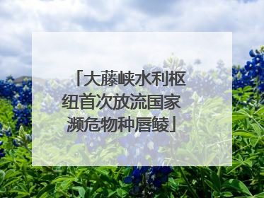 大藤峡水利枢纽首次放流国家濒危物种唇鲮
