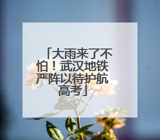 大雨来了不怕！武汉地铁严阵以待护航高考