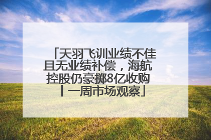 天羽飞训业绩不佳且无业绩补偿，海航控股仍豪掷8亿收购丨一周市场观察