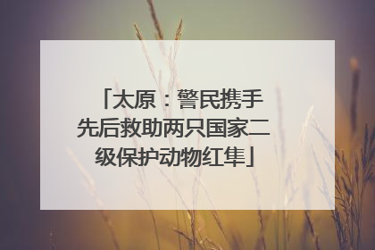 太原：警民携手 先后救助两只国家二级保护动物红隼