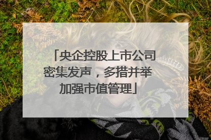 央企控股上市公司密集发声，多措并举加强市值管理