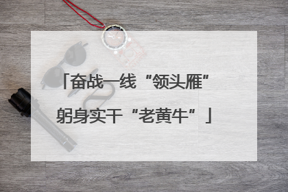 奋战一线“领头雁” 躬身实干“老黄牛”