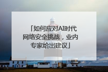 如何应对AI时代网络安全挑战，业内专家给出建议