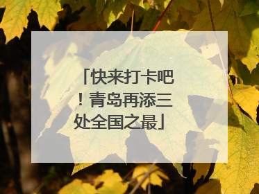 快来打卡吧！青岛再添三处全国之最