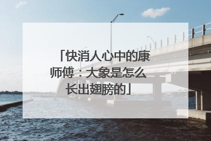 快消人心中的康师傅：大象是怎么长出翅膀的