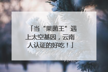 当“果菌王”遇上太空基因，云南人认证的好吃！