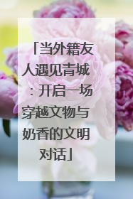 当外籍友人遇见青城：开启一场穿越文物与奶香的文明对话