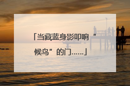 当藏蓝身影叩响“候鸟”的门……