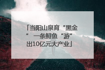 当阳山泉育“黑金” 一条鲟鱼“游”出10亿元大产业