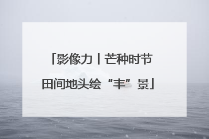 影像力丨芒种时节 田间地头绘“丰”景