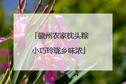 徽州农家枕头粽 小巧玲珑乡味浓